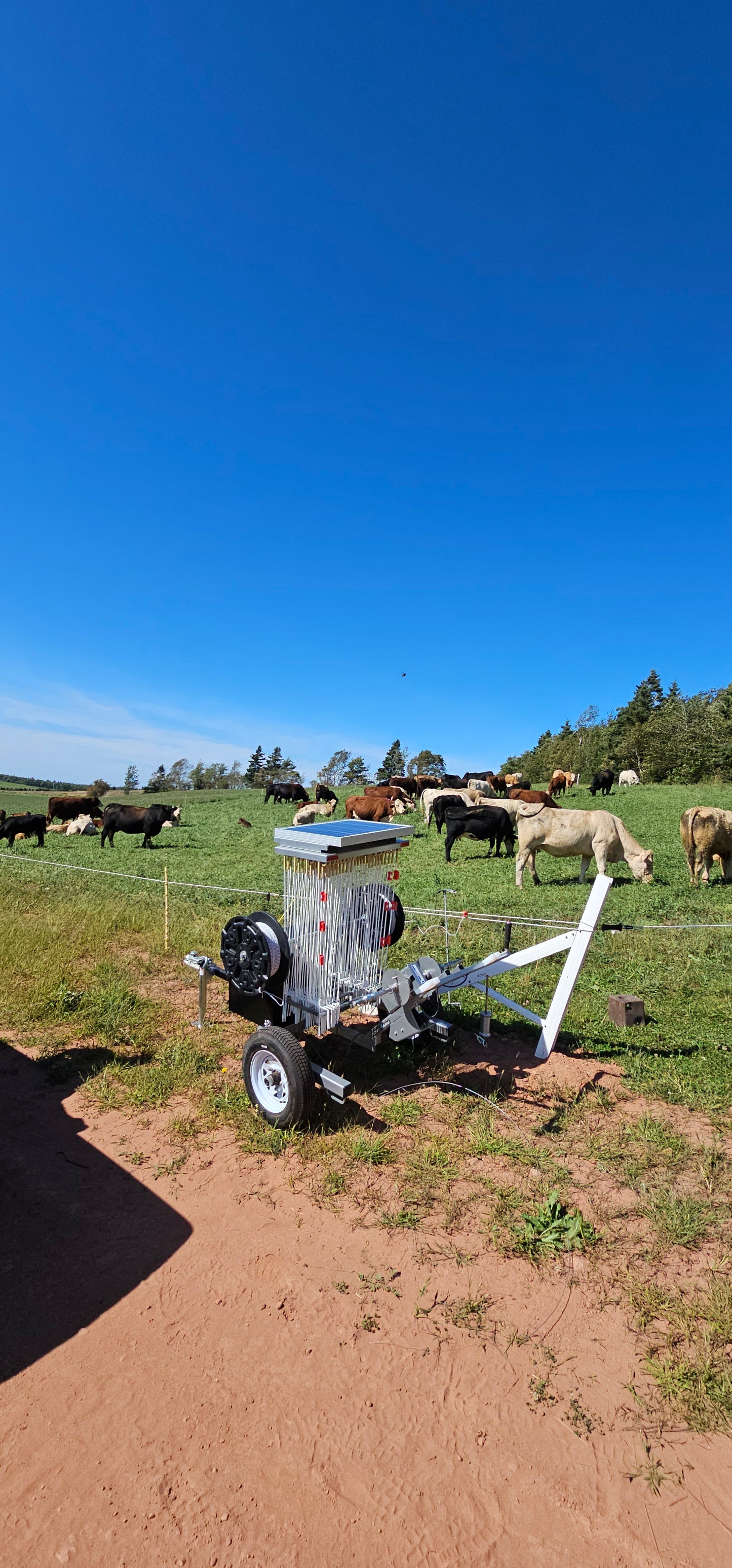 Razor Grazer - Power Shepherd