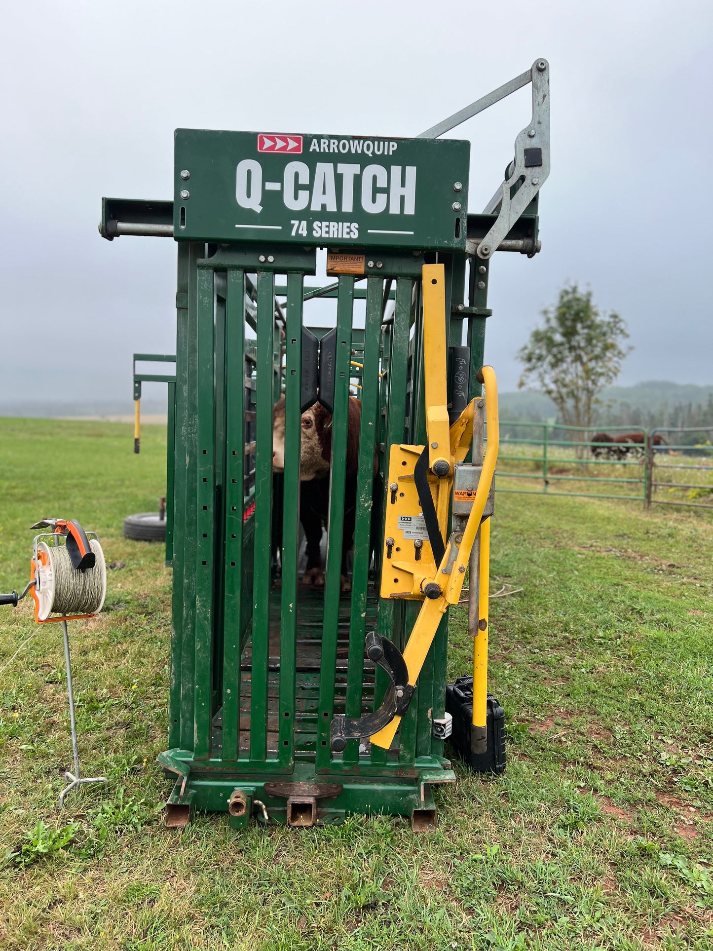 Rental- Portable 7400 Cattle handling system