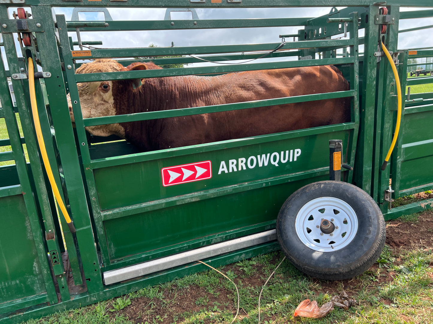 Rental- Portable 7400 Cattle handling system